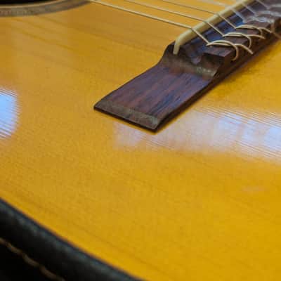 1960s Giannini GN50 Parlour Classical, Brazillian Rosewood, Mahogany image 14