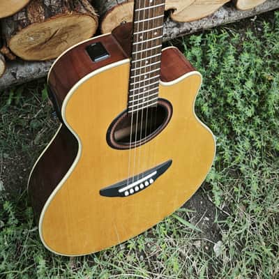 Yamaha APX 5A image 5