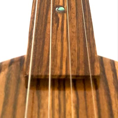 4 string Turtle shell slide guitar image 11