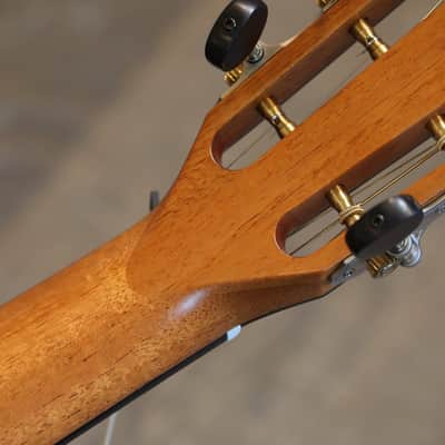 Unplayed! 2018 Taylor 712ce 12 Fret Limited Edition Torrified Spruce Blackwood Acoustic Guitar Natural + OHSC image 18