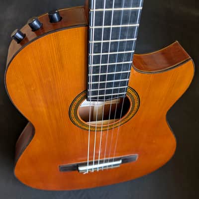 Sonicguitars CLASSIC PLAYER 2026 - Shellac image 7
