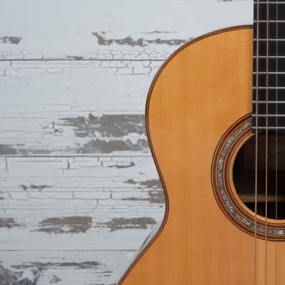 Manzer Baritone "Pat Metheny" image 11
