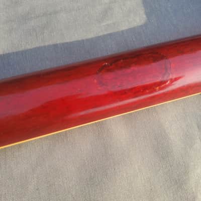 Gibson Les Paul Axcess Standard 2010 image 14
