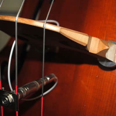 Eastman VB200 7/8 Scale Upright Double Bass image 3