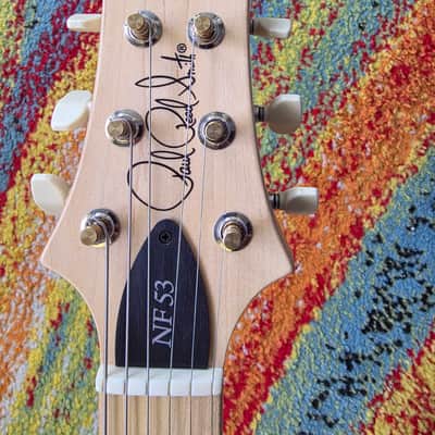 PRS NF 53 2025 - Present White Doghair Smokeburst image 6