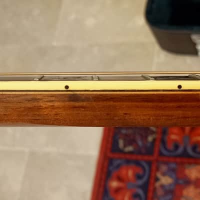 Ome Juggernaut II tenor banjo image 12