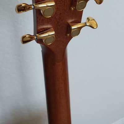 Taylor 818e Grand Orchestra 2020 - Hloss image 6