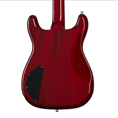 Epiphone Newport Bass 2023 - Present image 6