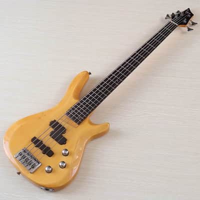 Custom 5 String Electric Bass, 24 Frets Fingerboard image 1