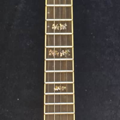 Wildwood Troubadour Open Back Banjo with Bracket Band & Superior Hard Case image 3