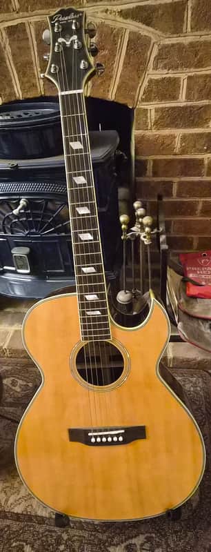 Peerless PCA 60ce 2005-2010 image 1