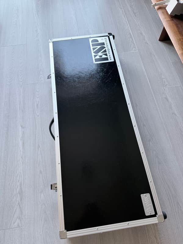 ESP Duplex Flight Case image 1