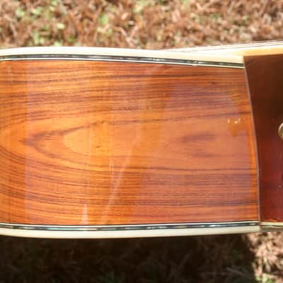 1978 Yairi  YW-600 Coral Rosewood(New Jacaranda ) Body Natural Bargain image 13