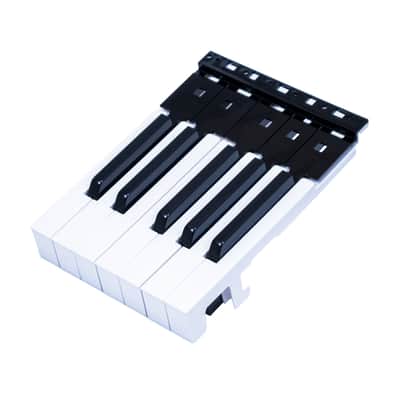 Korg 12-Note Key Assembly for LP-180, SP-170, SP-170S, SP-280 image 4
