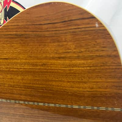 Samick Greg Bennett Design D-6CE Dreadnought Acoustic Electric Guitar image 12