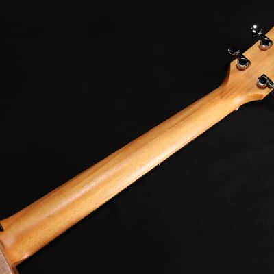 Taylor 24ce Mahogany Top with African Sapele Back and Sides with Fishman Pickup NEW PRODUCT 320 image 6