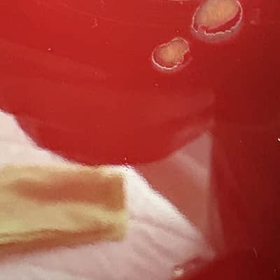 Modulus Vertex 4 1995 - Red image 8