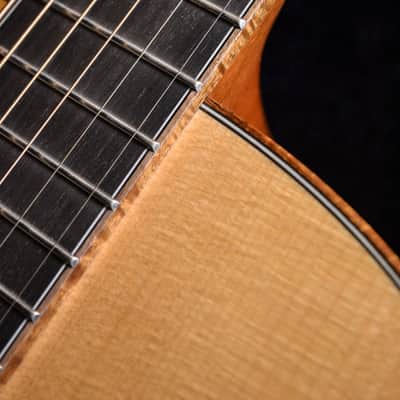 Baden - American Made TJ Baden Guitar Madagascar image 11