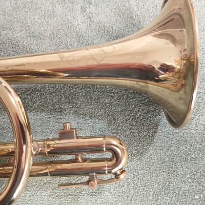 Vintage Olds Ambassador Cornet - gleaming finish image 20