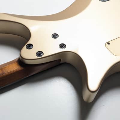 Strandberg Guitars Boden Metal 6 10th anniversary (limited to 5 in the world) image 18