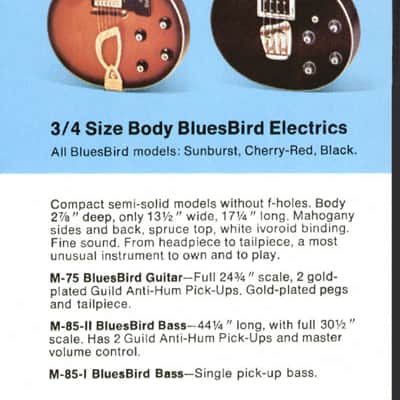 Guild Bluesbird M-75 1969 - Cherry Sunburst image 19