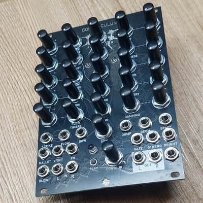 Corpusculum / Mutable Instruments Elements Clone / Sylph Modular Bild 5