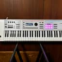 Roland JUNO-DS 61 61-key Synthesizer Special Edition White w/ gig bag juno-ds61w