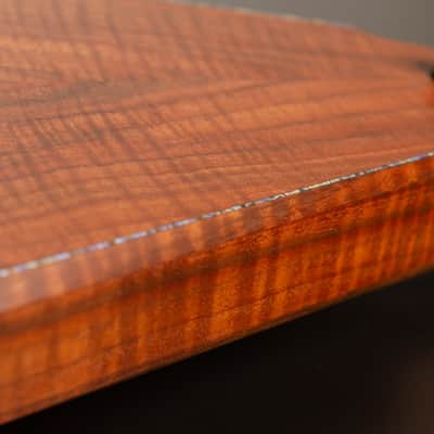 Hoff Guitars Valnut (Neck-Through, Multi-Scale, Semi-Hollow V 2024 - Polymerized Tung Oil image 12