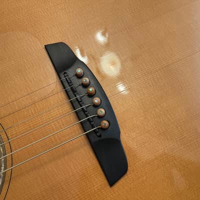 Goodall GC Brazilian Rosewood / Master Italian Spruce image 12