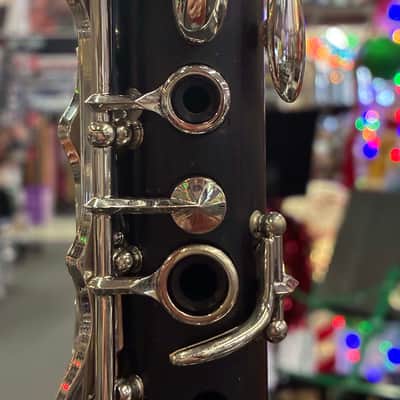 Buffet Crampon R13 with Chadash Barrel image 14