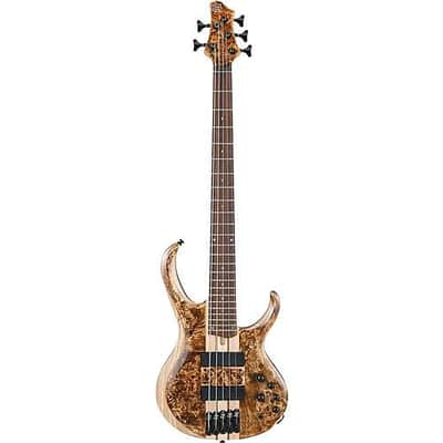 Ibanez BTB845V Bass Workshop | Reverb