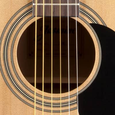 Jasmine S35 Dreadnought Spruce Top Agathis Back & Sides Nato Neck 6-String Acoustic Guitar image 4