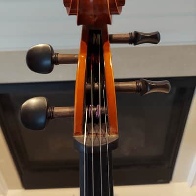 Eastman VC80 2022 - High'gloss Varnish image 4