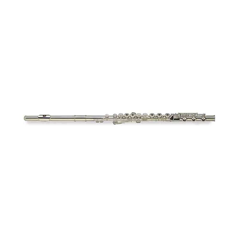 Stagg WS-FL261S Student Open-Hole C Flute with Inline G, Case image 1