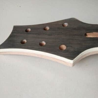 Paul Reed Smith Style Kit Clone/copy Custom 22 Semi Hollow 2016 Maple Top Raw Mahagony Back image 11