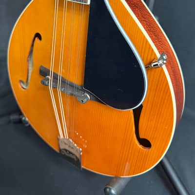 Kentucky KM-152 Standard A-Style Mandolin Amber Top Finish w/ Gig Bag image 7
