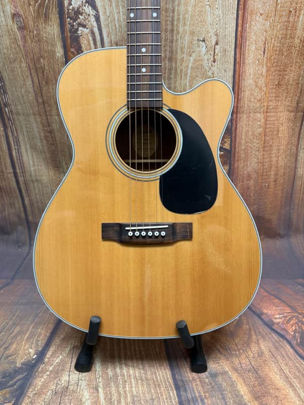 Blueridge BR-63ce - Gloss image 1