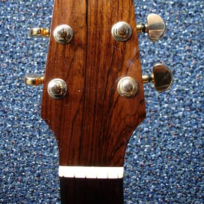 Lance Mccollum Grand Auditorium Tree Mahogany image 5