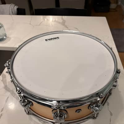DW Collector's Series Maple 5x14" Snare Drum image 4