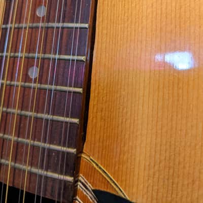Epiphone 6834E 12 String Acoustic 70s image 6