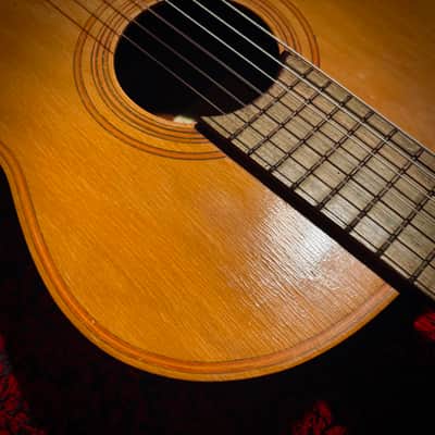 Vintage 1965 Giannini Model 6 image 4
