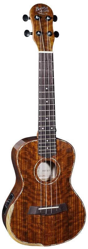 Barnes & Mullins BMU K5CE Concert image 1