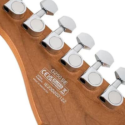 A Double-Cutaway Dream: The All-New Cort G250 SE Electric Guitar image 7
