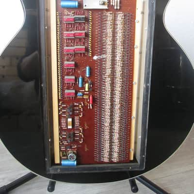 Godwin Organ Guitorgan 1976 black image 9
