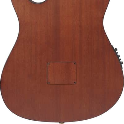 Ibanez FRH10N Thinline Nylon Acoustic Electric Guitar - Rose Gold Metallic Flat (FRH10NRGF) image 6