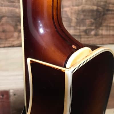 Hofner President Florentine Thinline '66' Brunette 1965 image 14