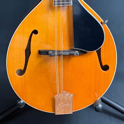 Kentucky KM-152 Standard A-Style Mandolin Amber Top Finish w/ Gig Bag image 1