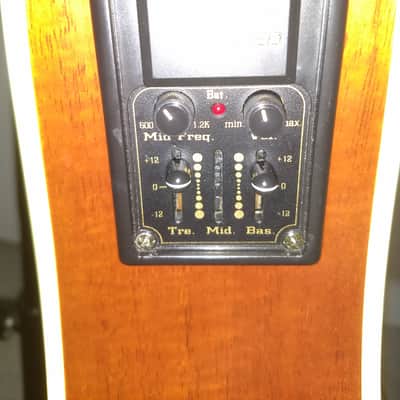 Fender BG29 NAT Acoustic/Electric Bass with Hard Case image 5