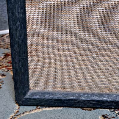 Danelectro DM-25 Vintage Tube Amp/Cab Combo w/ Reverb & Tremolo image 4