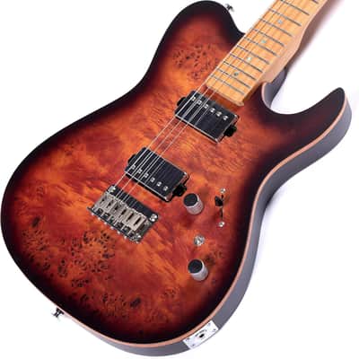 Electric Guitar Burl Wood Look Printed Top Modern Double Cut 6 String HH Pickups Tremolo Maple Neck Gloss Finish image 2